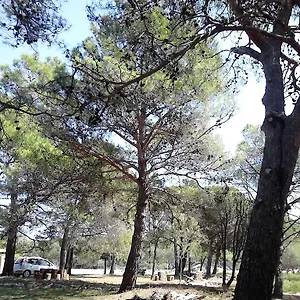 rezervovat zde